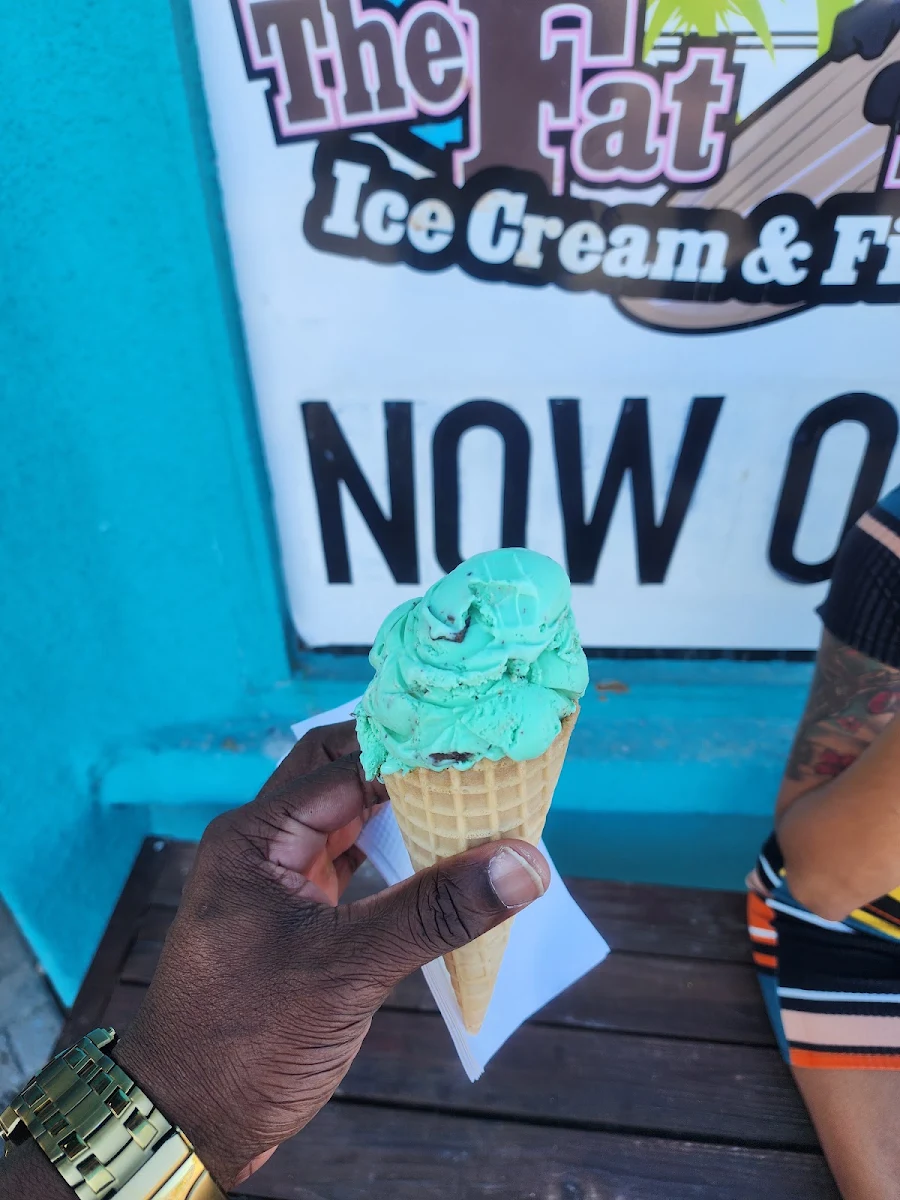 Mint Chocolate Chip Ice Cream