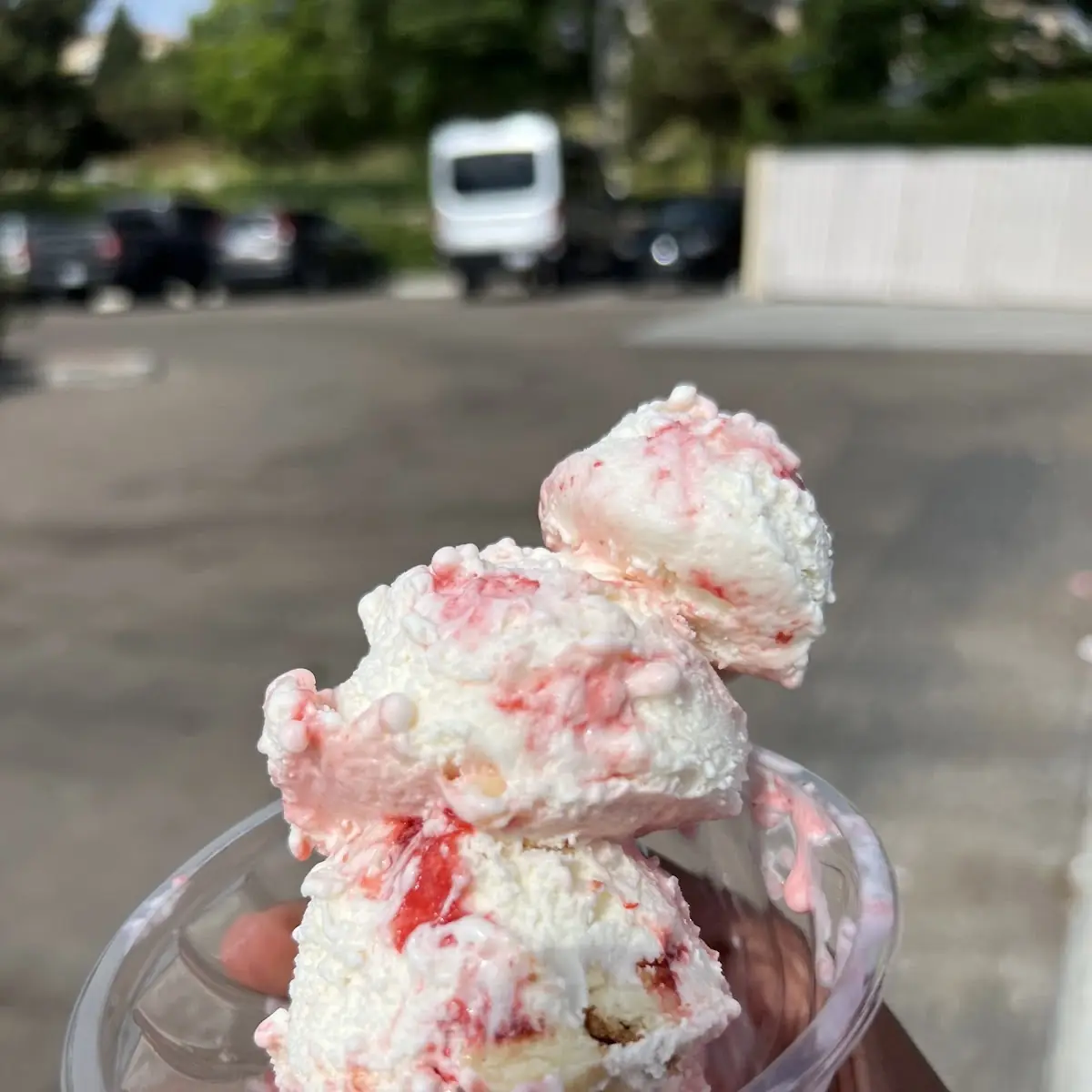 Strawberry Cheesecake Chunk
