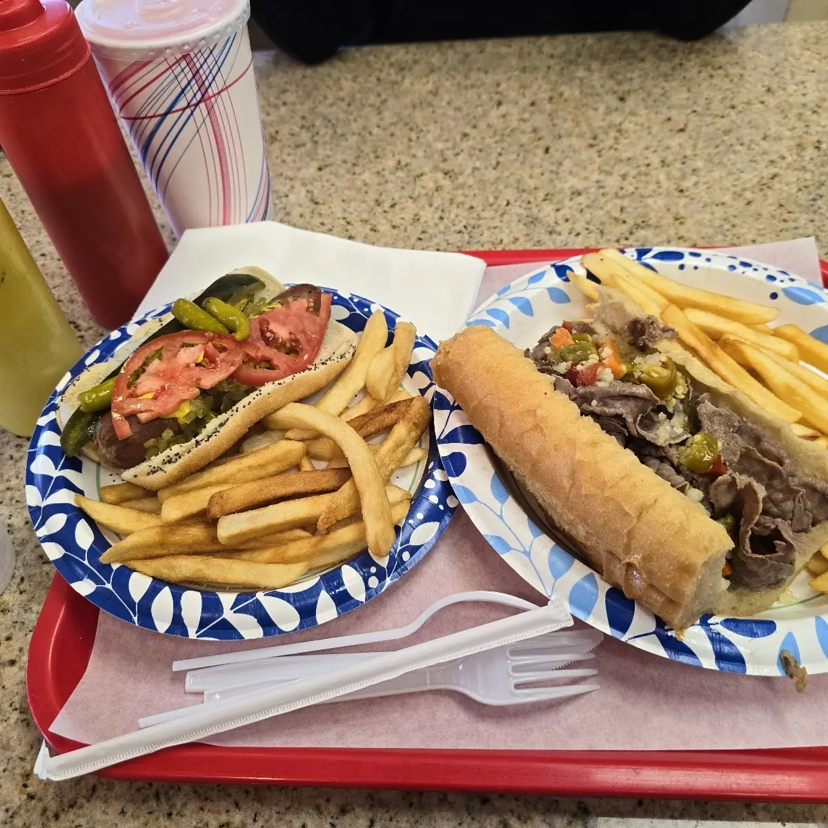 Hot Dog Plate with Fries