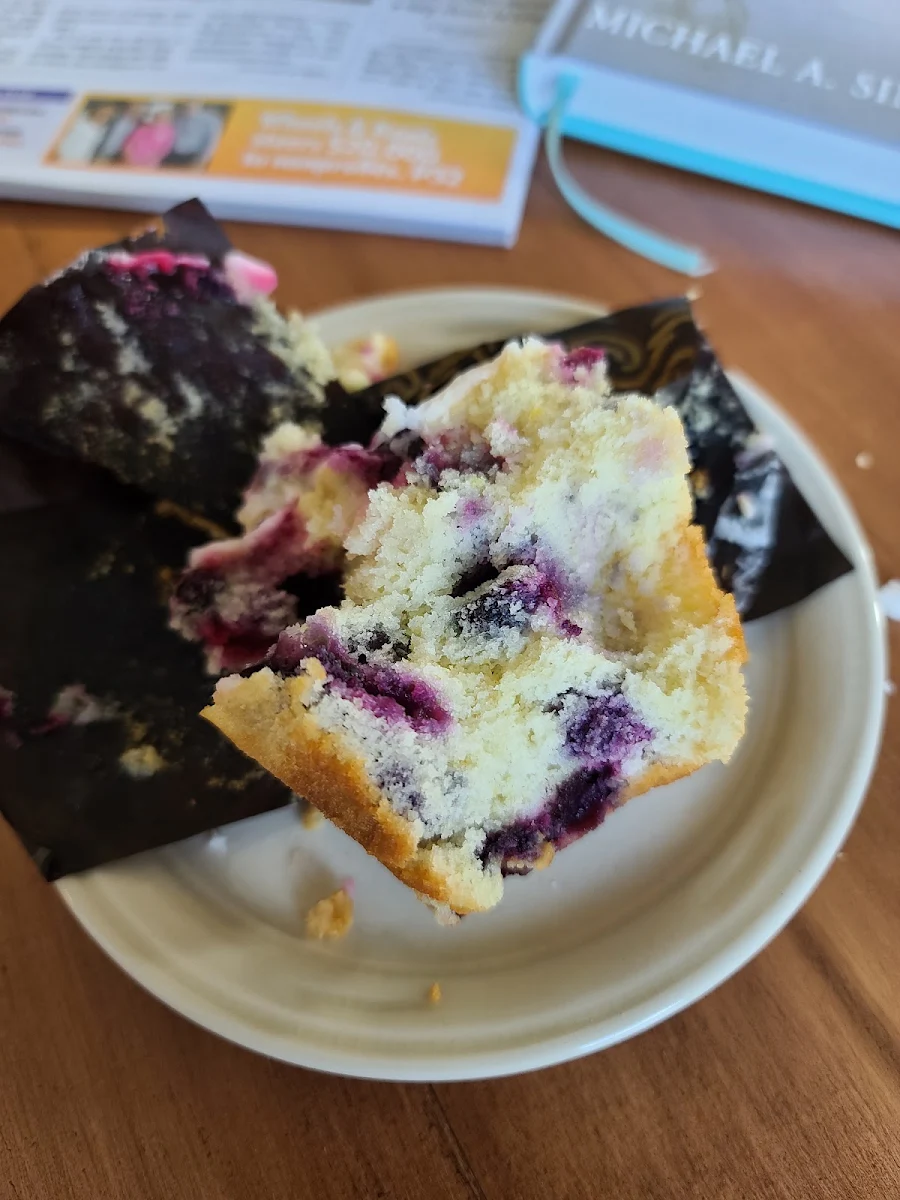 Blueberry Muffin