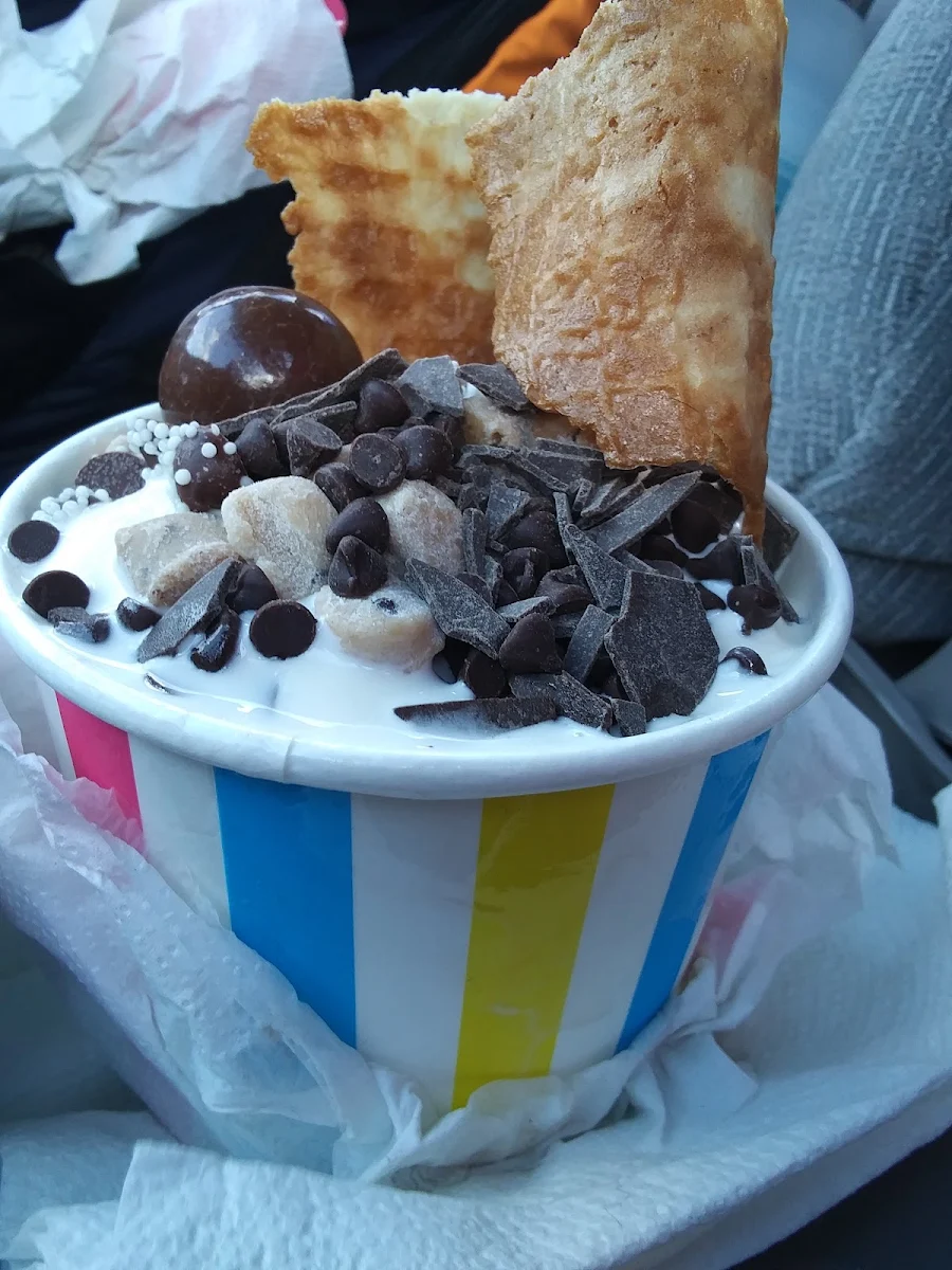 Frozen Yogurt Vanilla Ice Cream