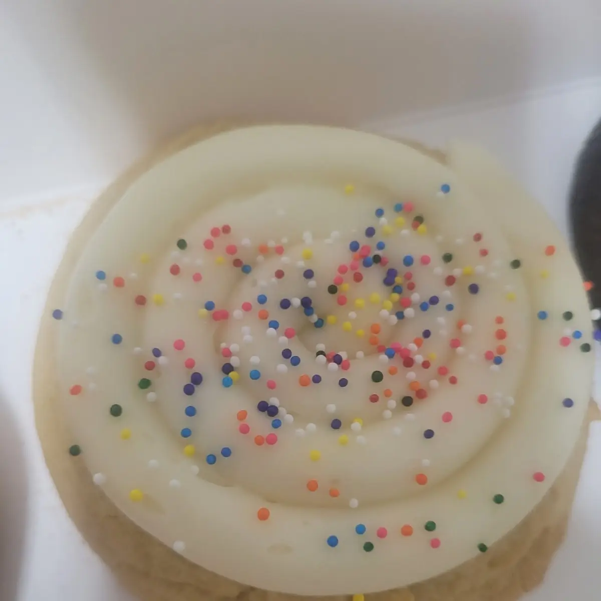Sugar Cookie