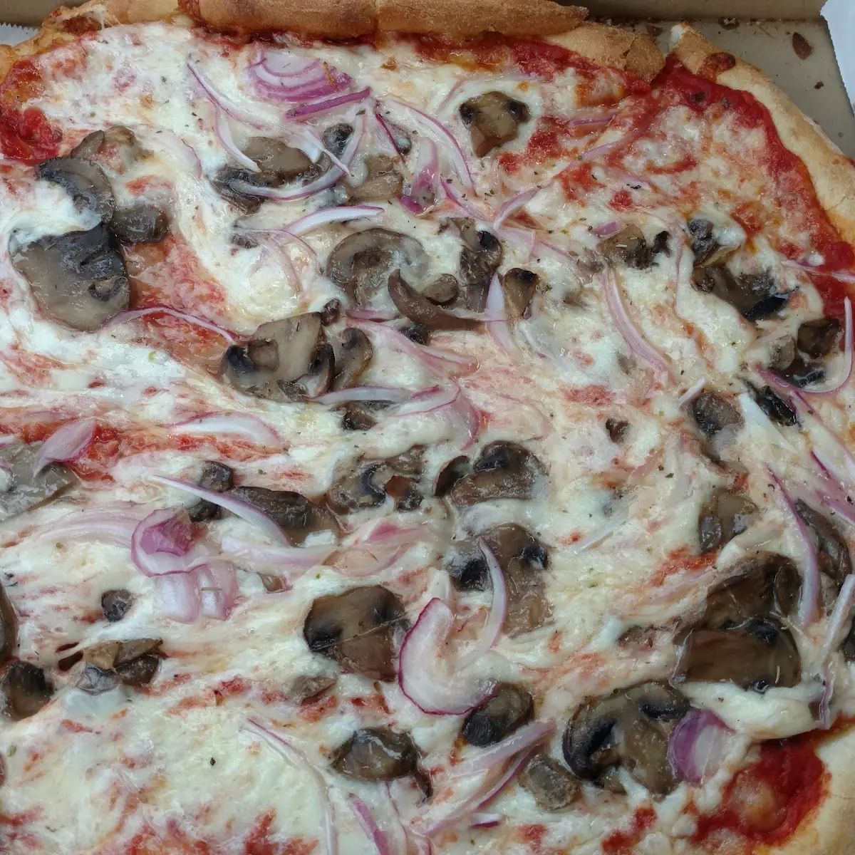 A Very Lazy Poorly Made Mushroom Pizza