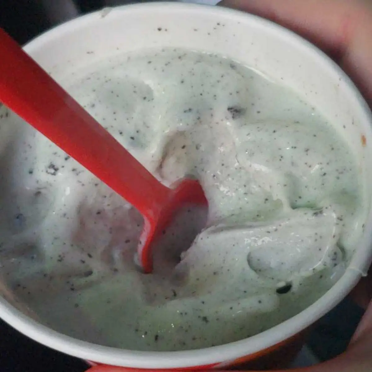 Mint Oreo Blizzard Treat