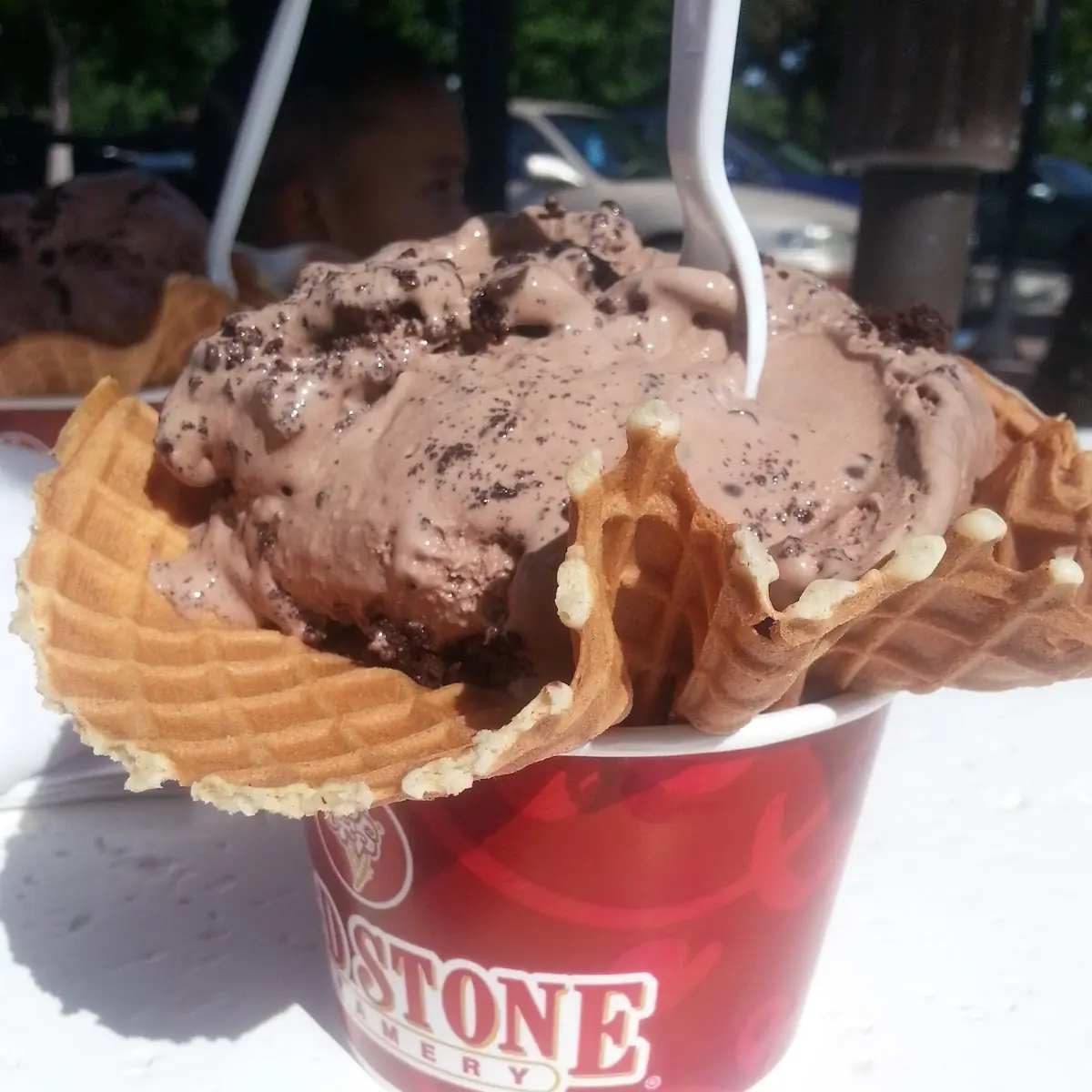 Ice Cream or Frozen Yogurt