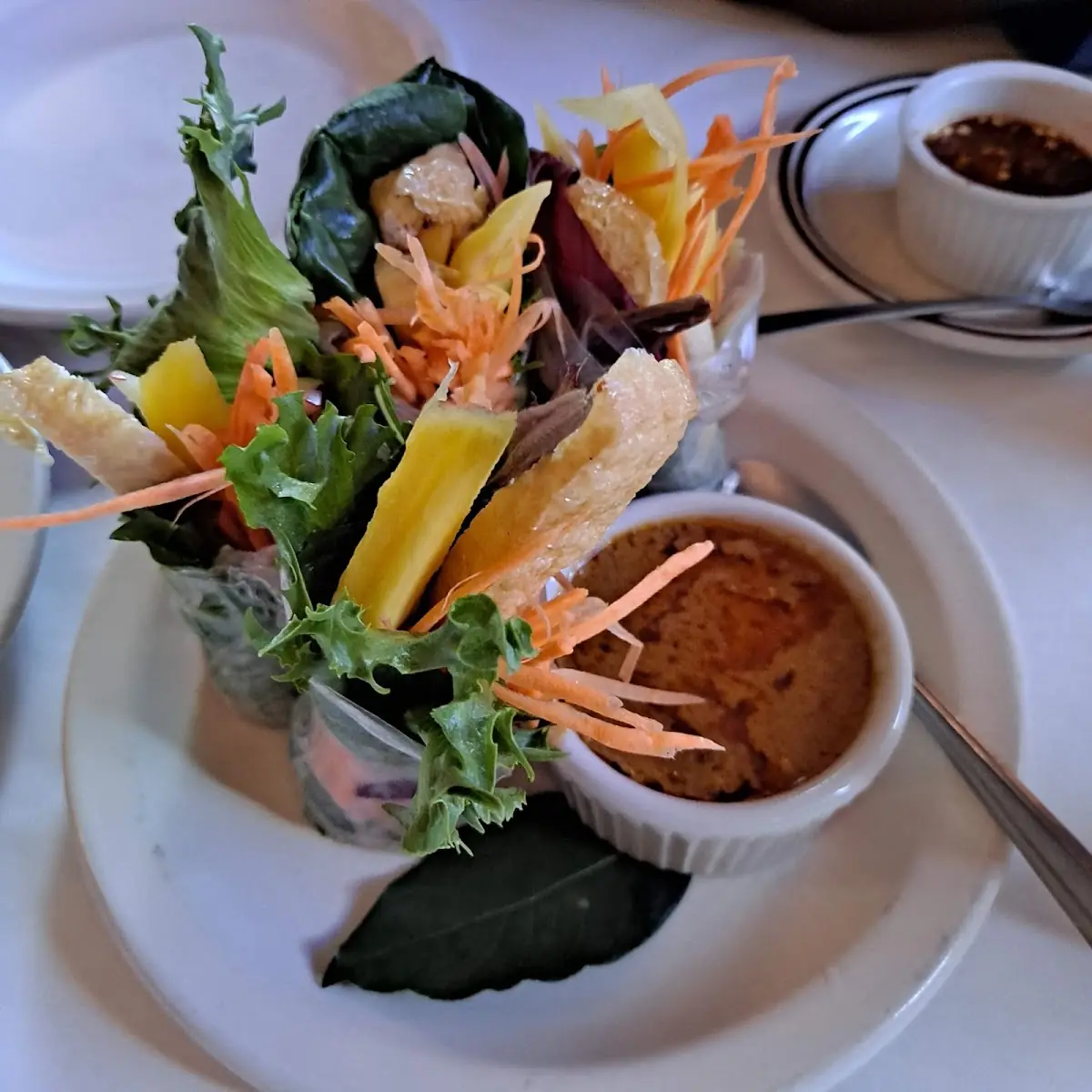 Fresh Spring Rolls