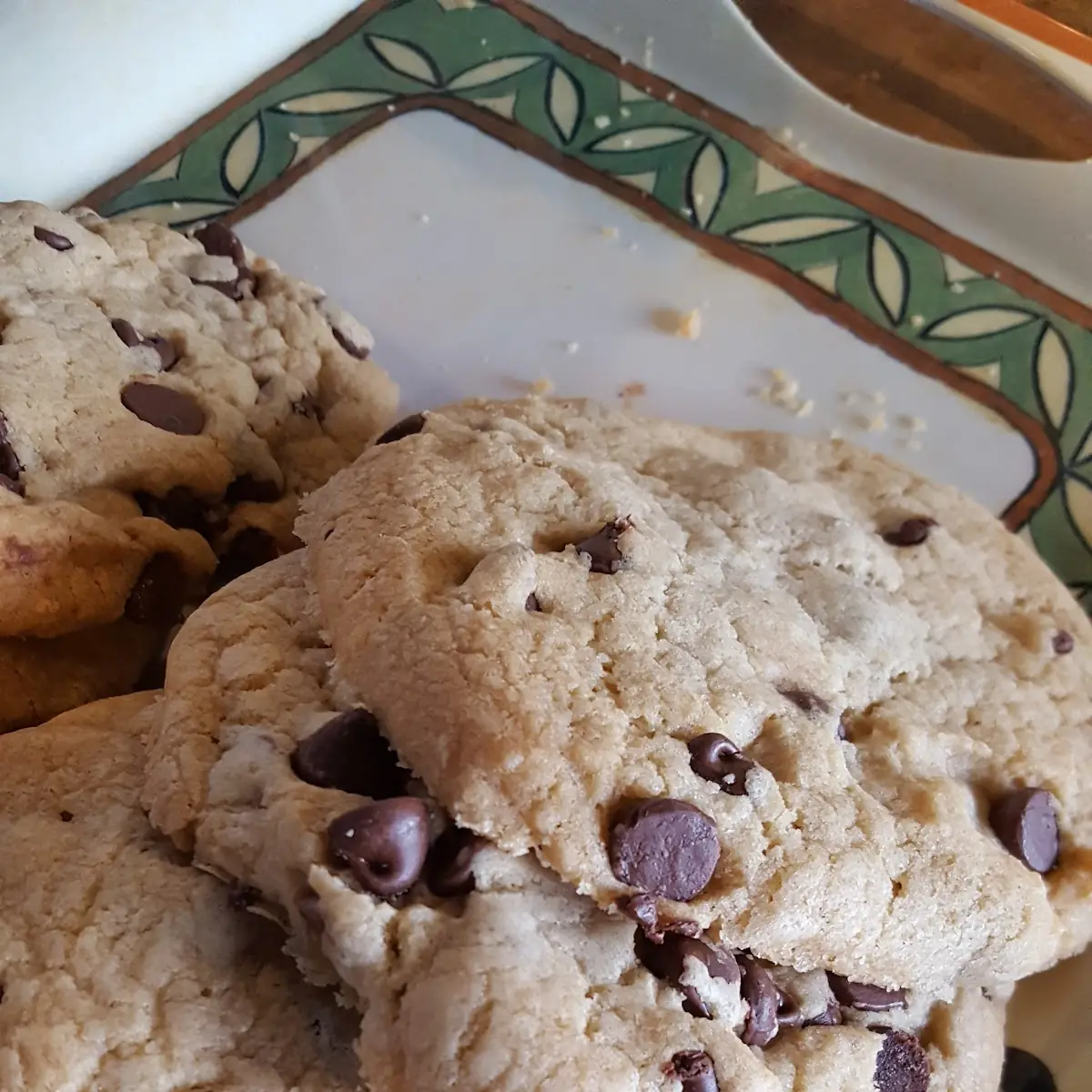 Chocolate Chip Cookie