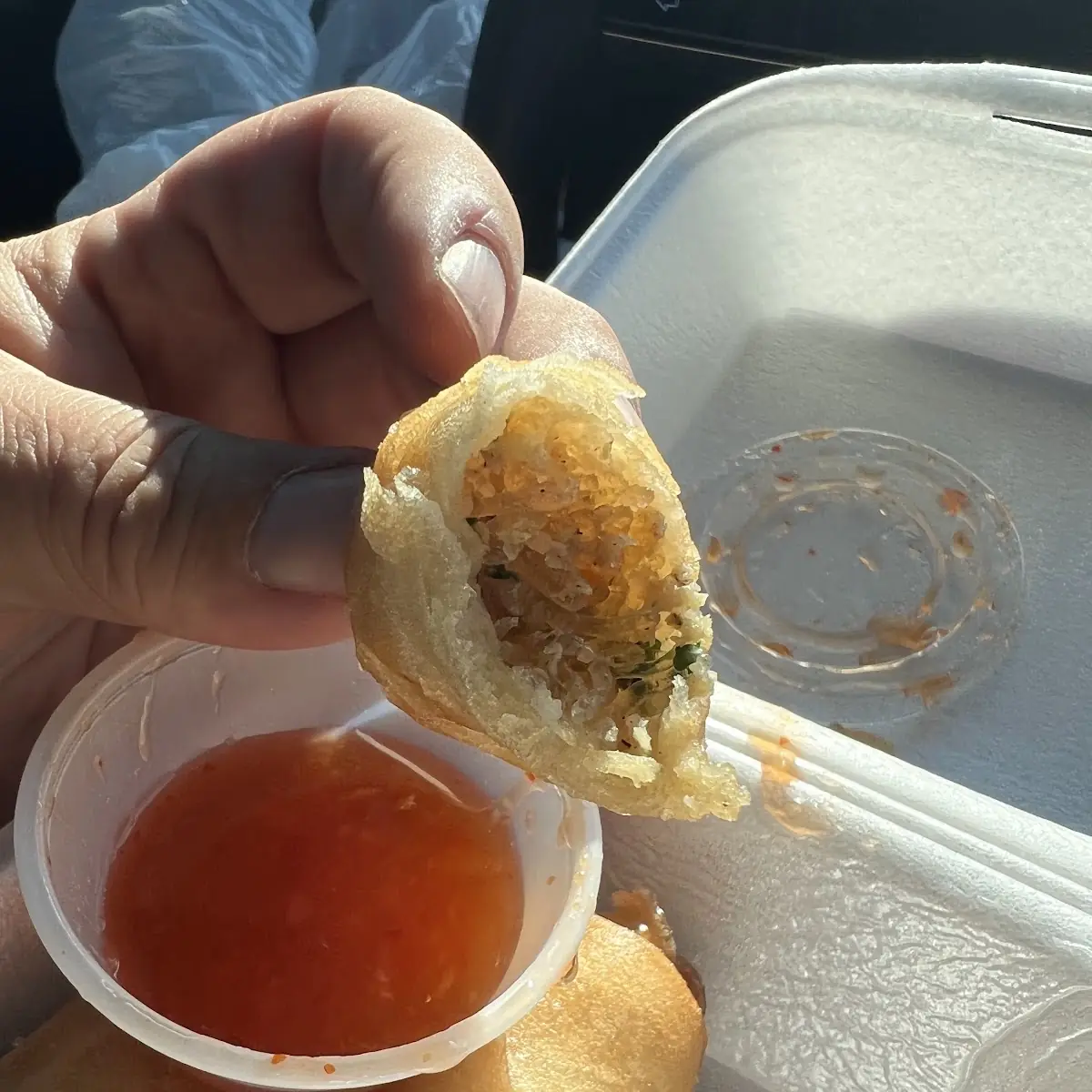 Spring Roll