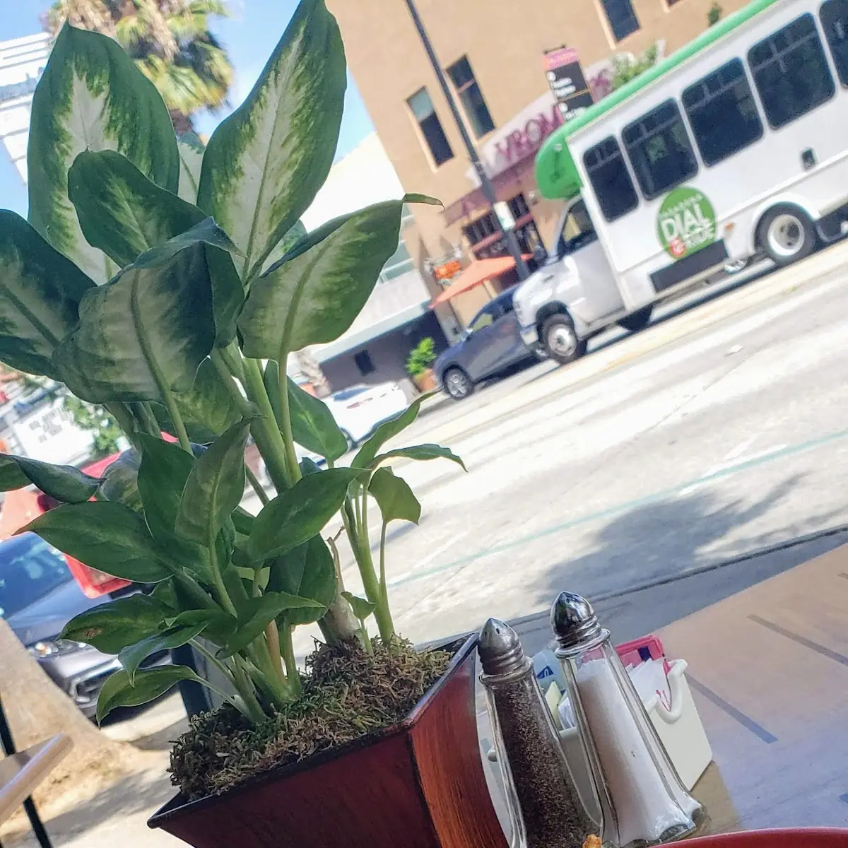 Vane's Torta Cubana