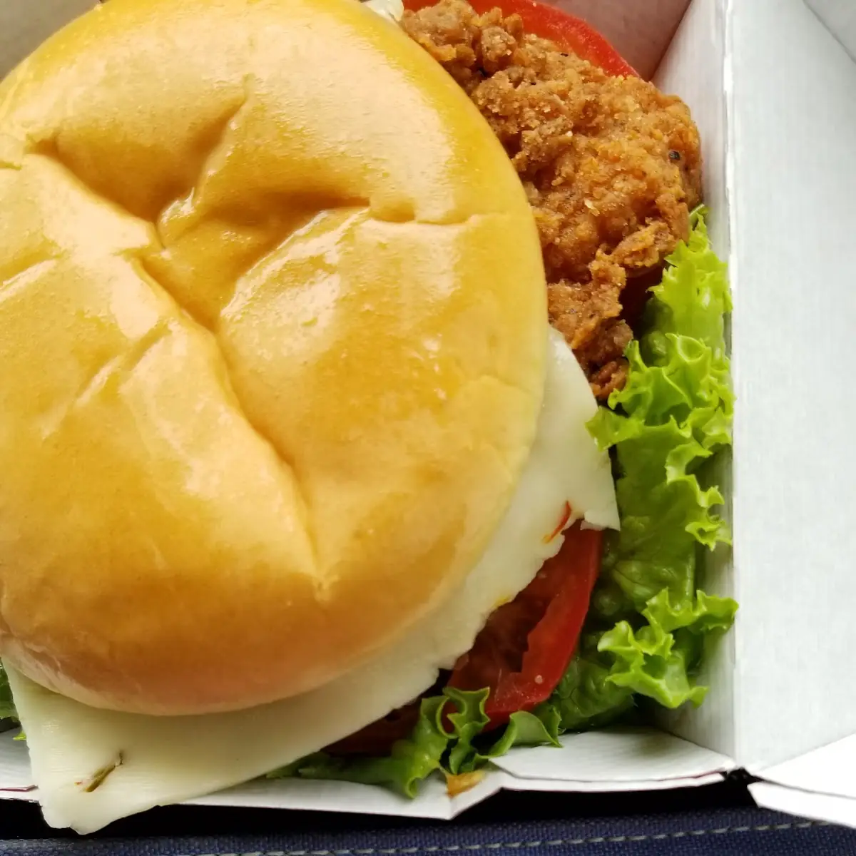 Spicy Chicken Sandwich