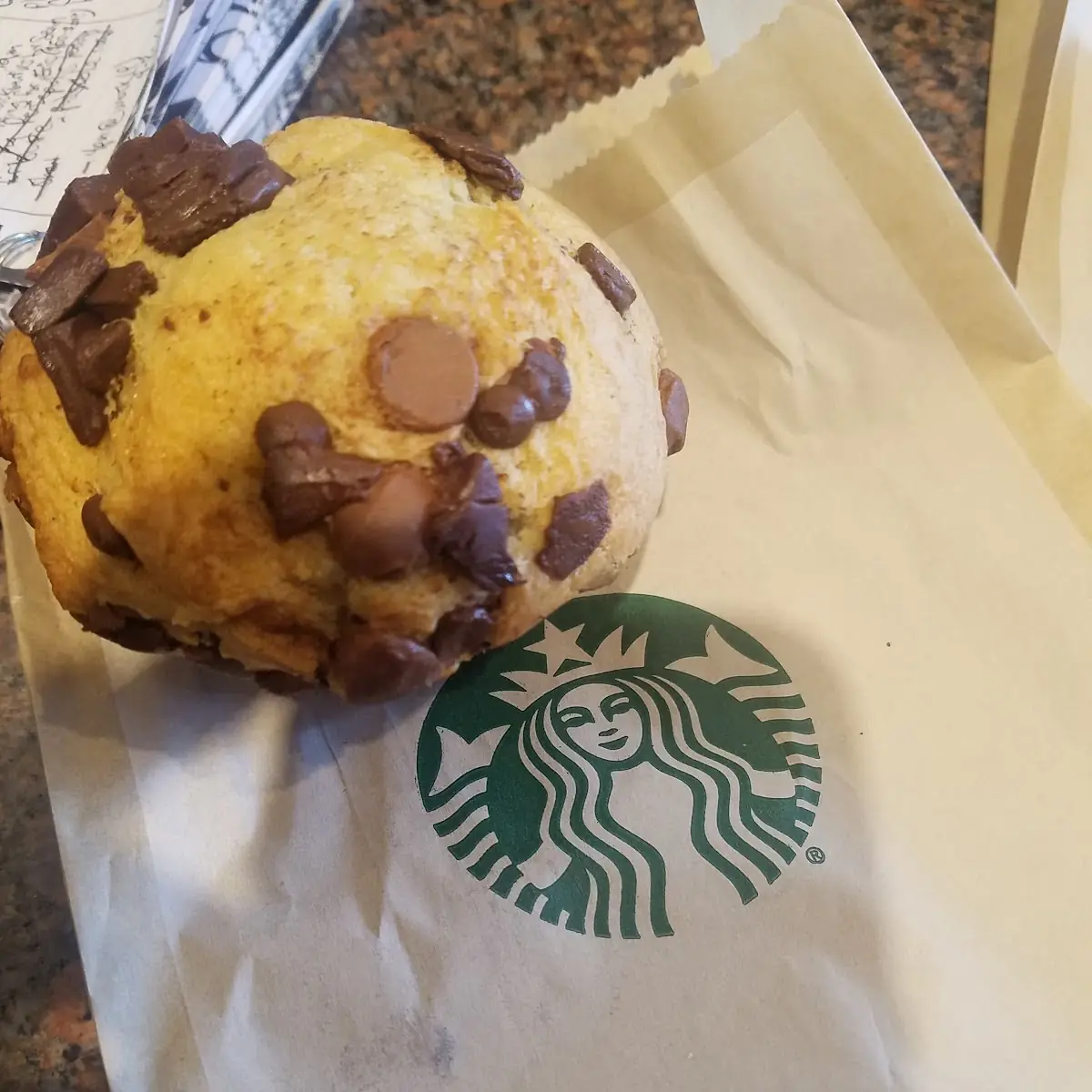 Chocolate Chip Muffin