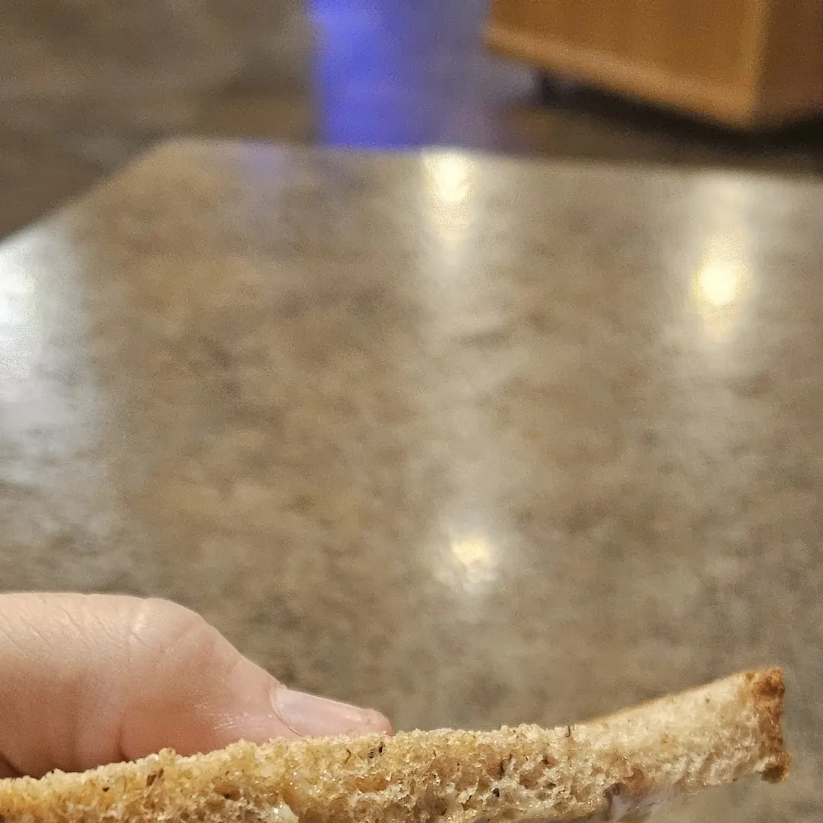 Seared Tuna blt