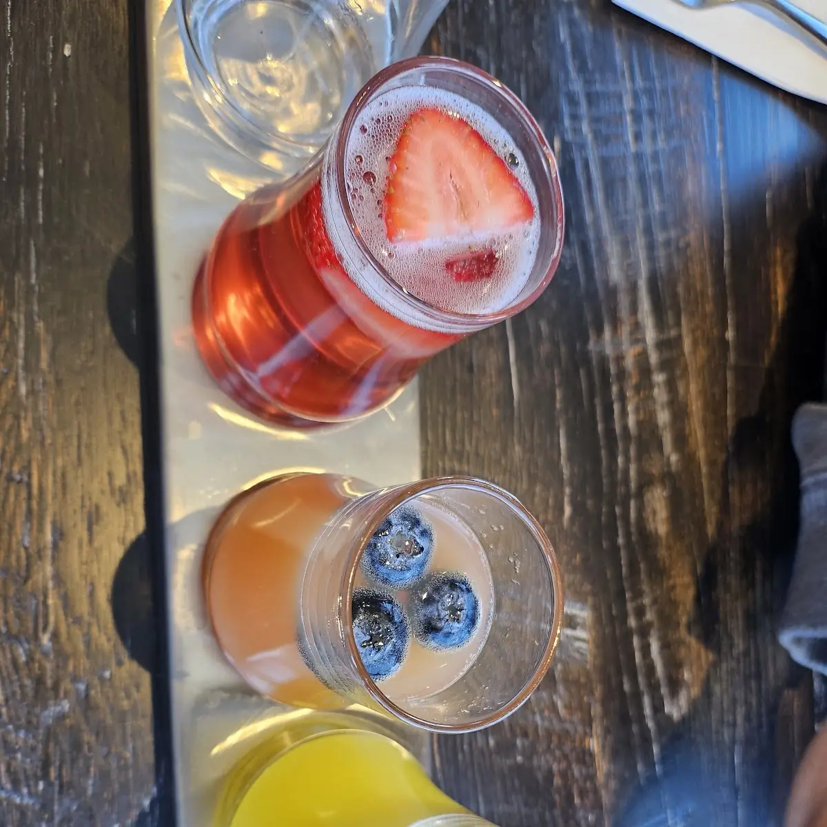 Mimosa Flight