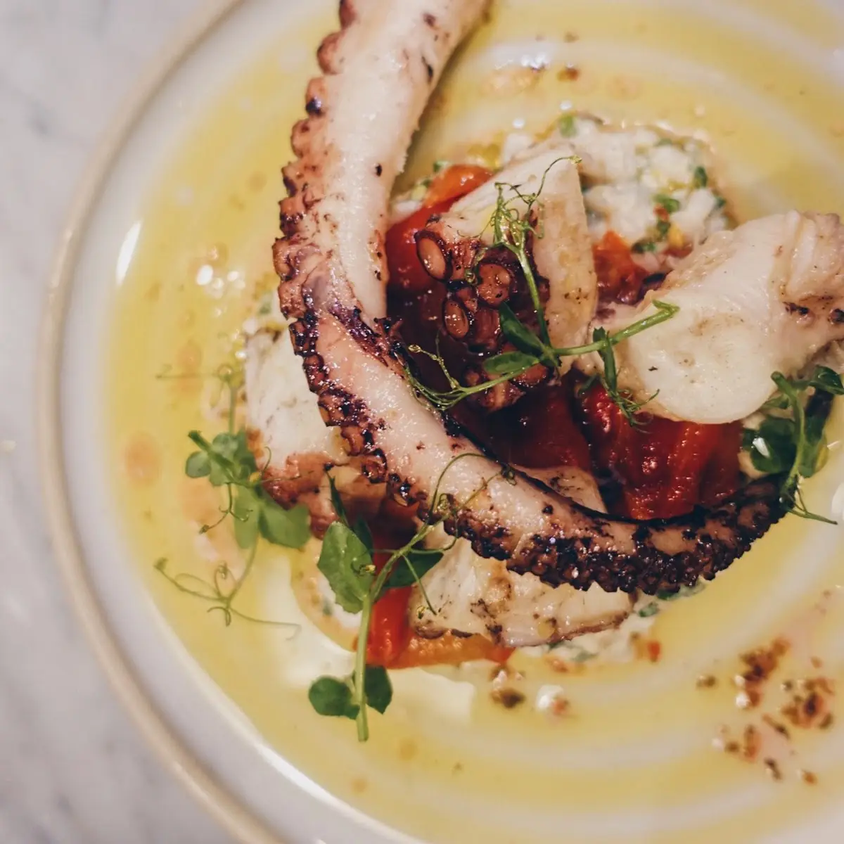 Grilled Octopus