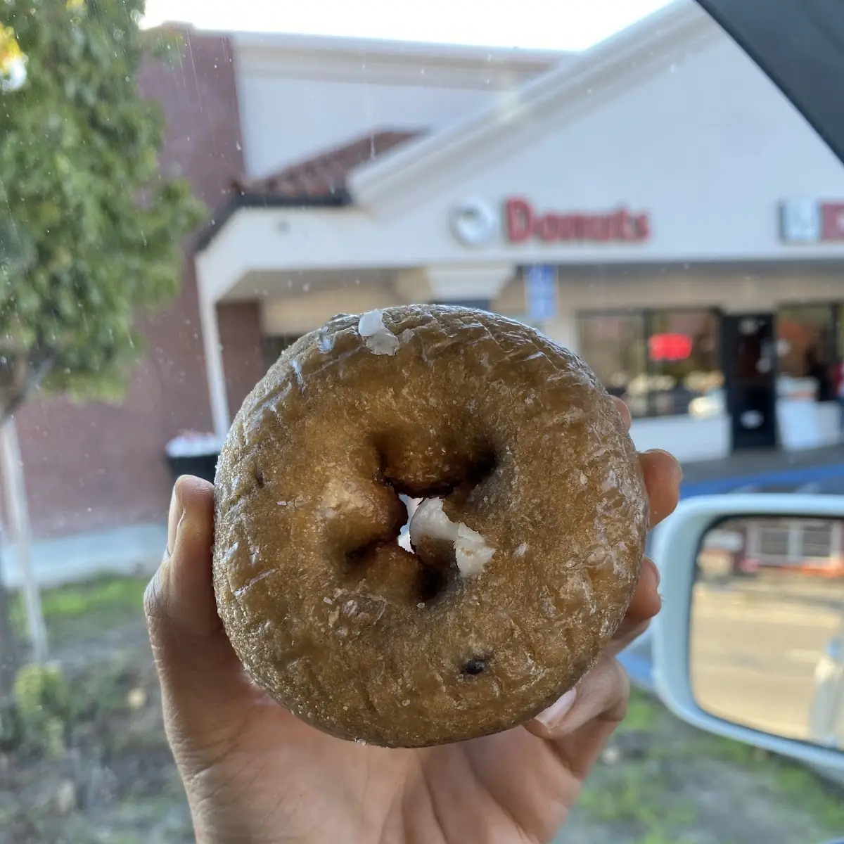 Blueberry Donut