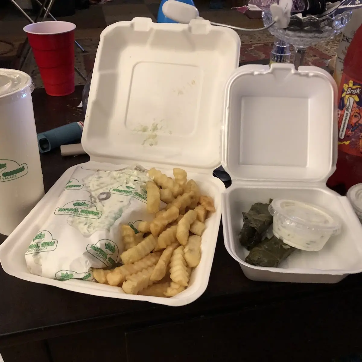 Lamb Beef Gyro Platter & Grape Leaves
