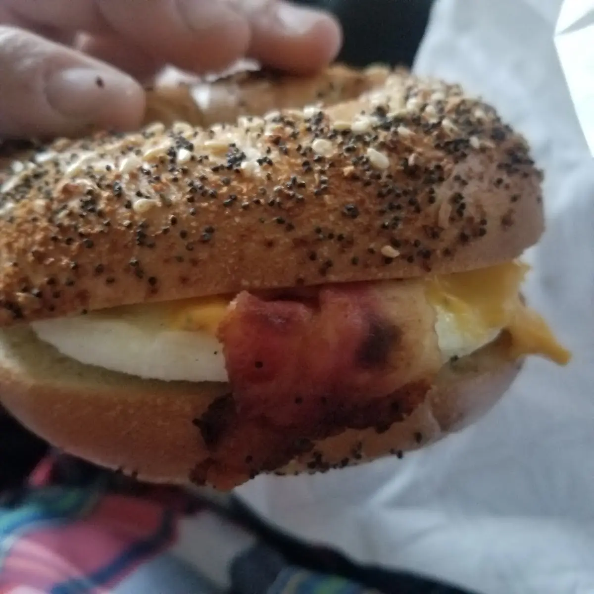 Bacon Egg Cheese Bagel