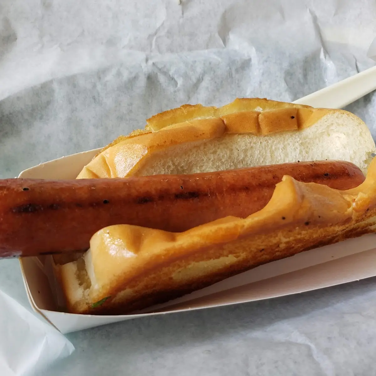 Hot Dog