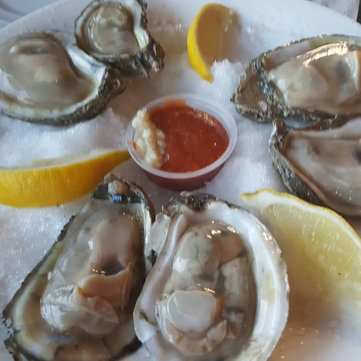 Oysters on Half Shell