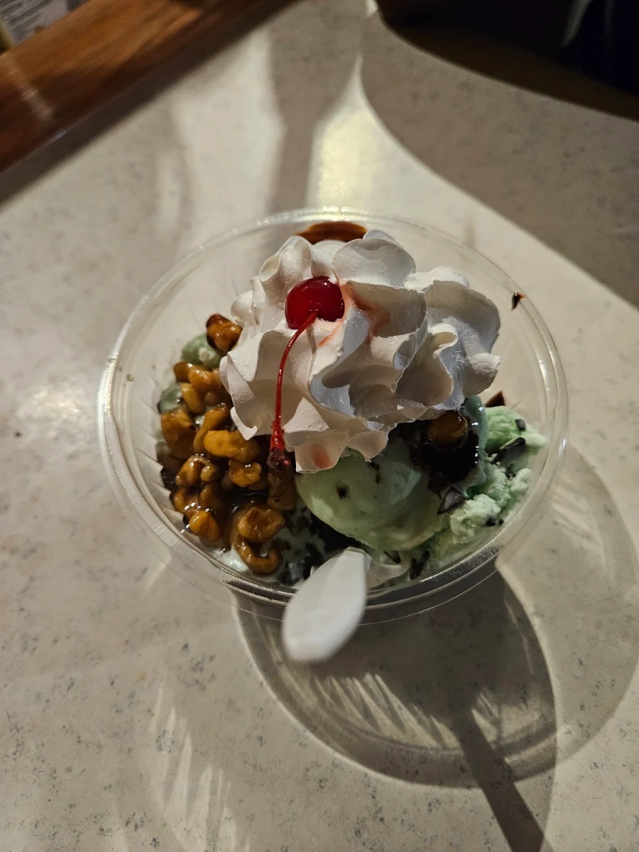 Mint Chocolate Ice Cream