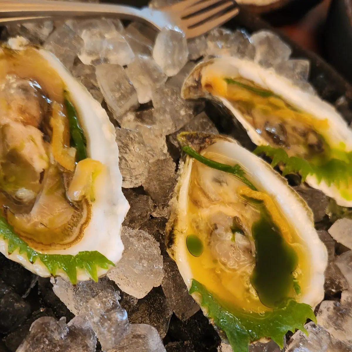 Fresh Oysters with Lemon and Sauce