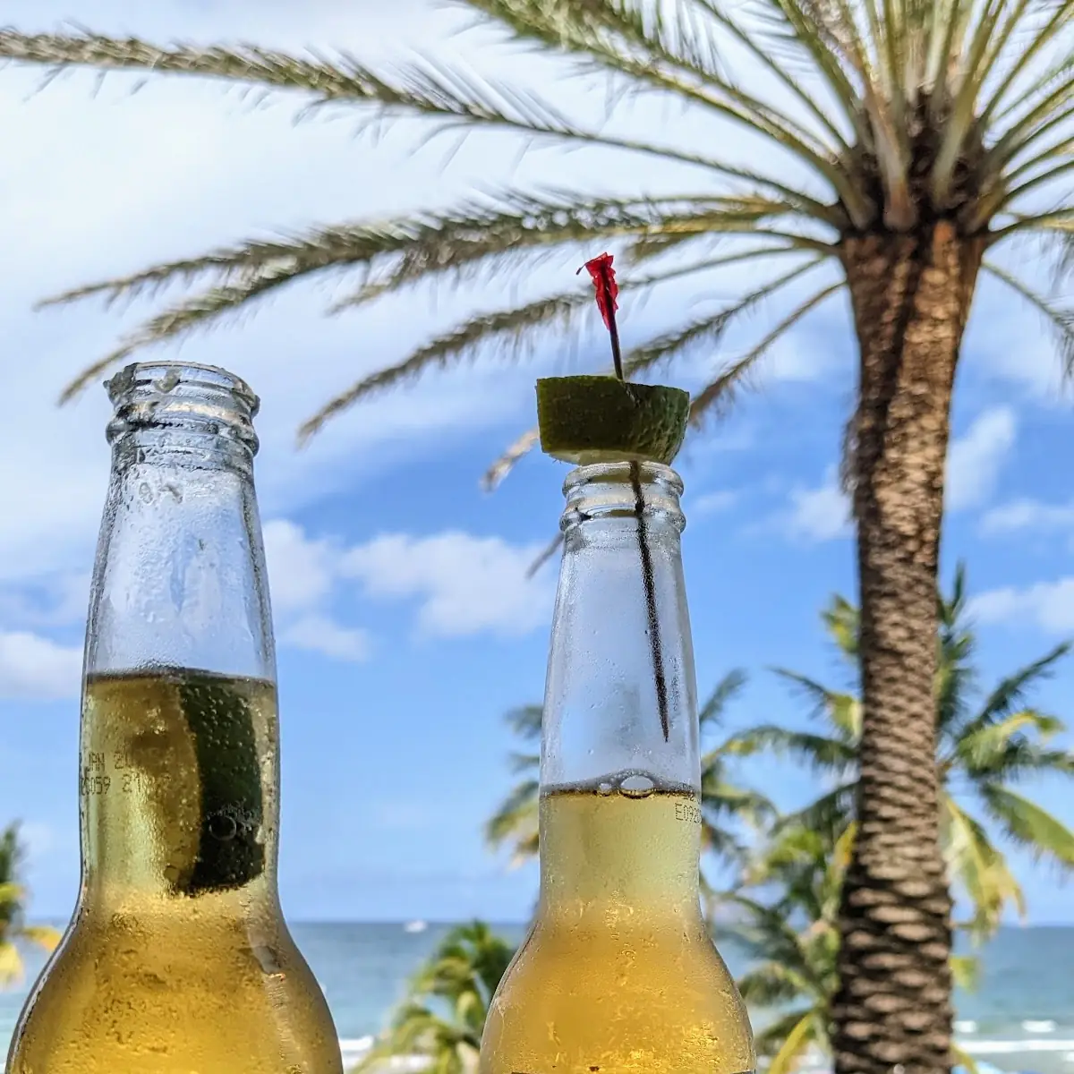 Corona Light Draft