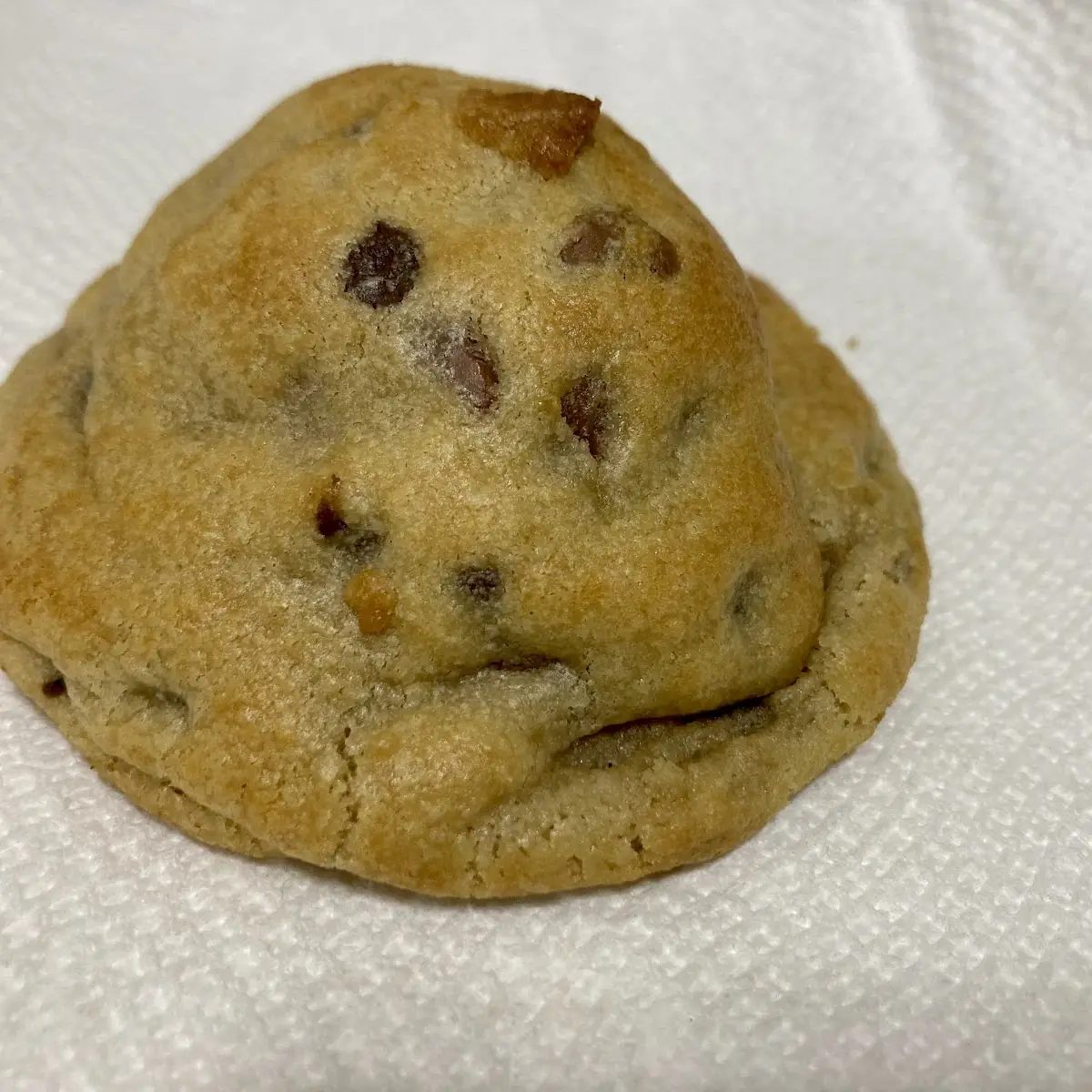 Chocolate Chip Cookie