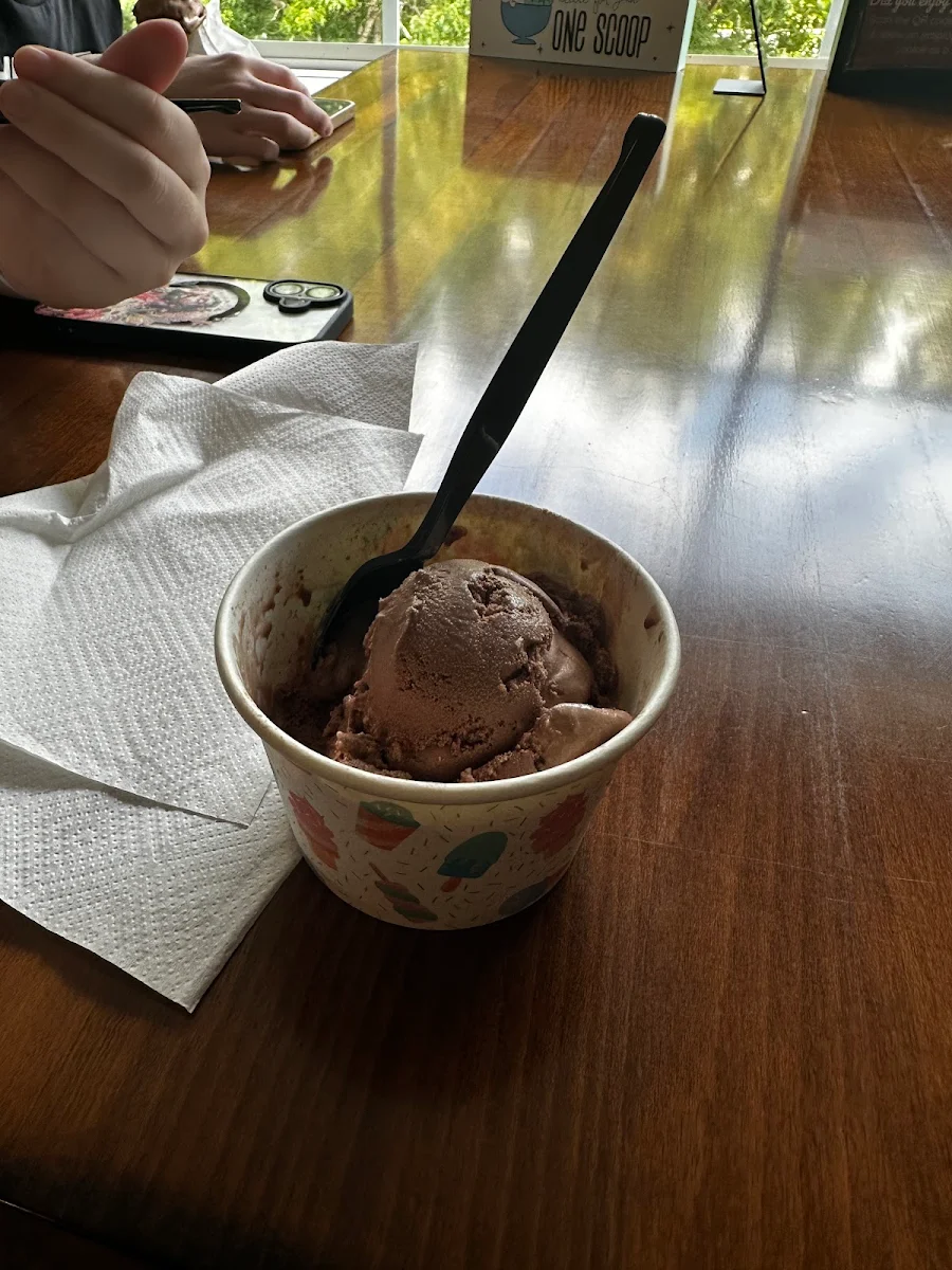 Chocolate Ice Cream