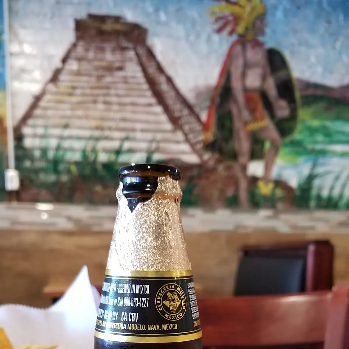 Negra Modelo Especial
