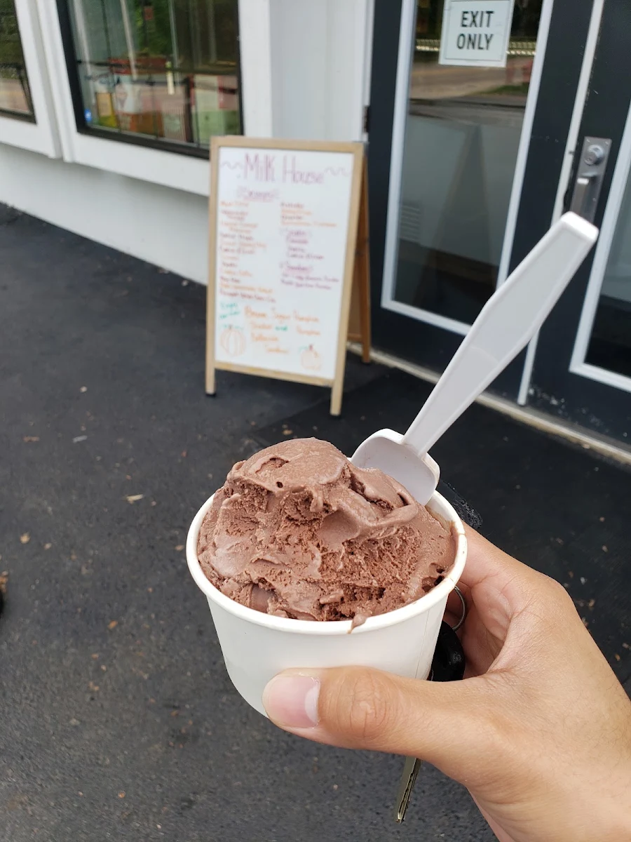 Chocolate Ice Cream