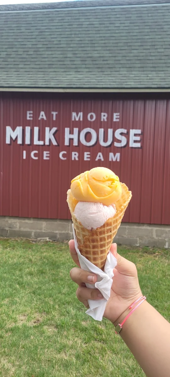 Mango Ice Cream