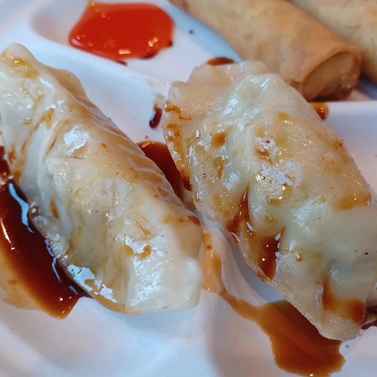 Veggie Spring Rolls 2