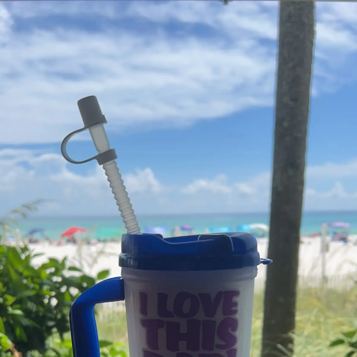 Frozen Pina Colada