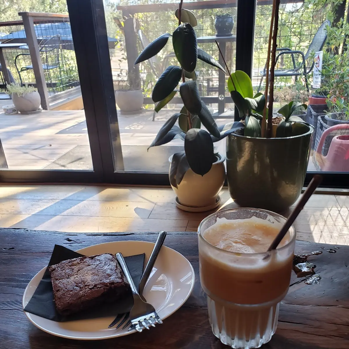 Iced Oat Milk Latte
