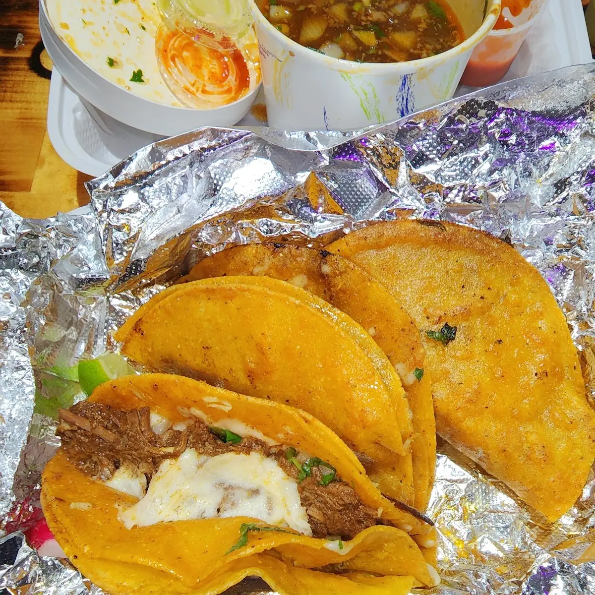 Birria Quesadilla