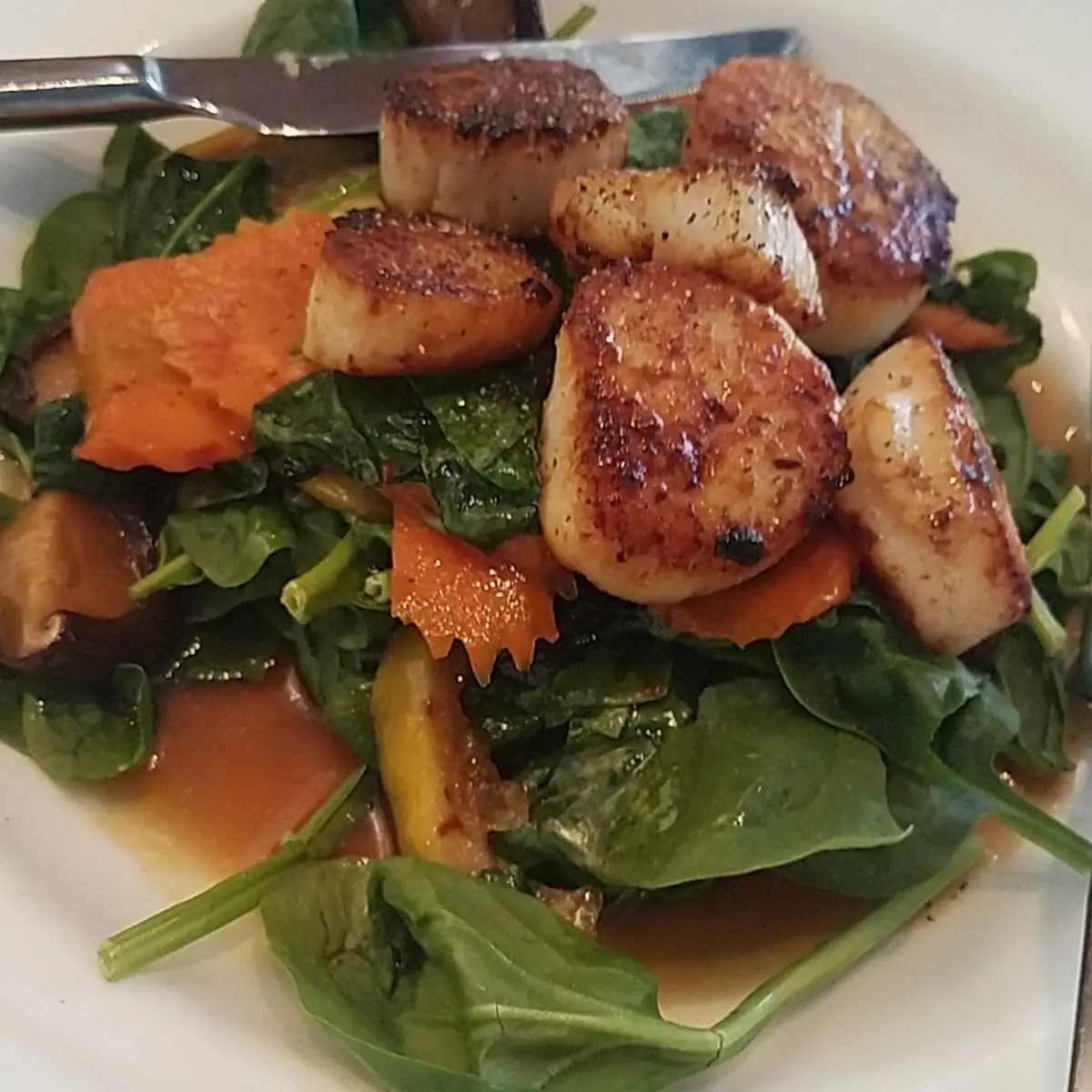 Sea Scallops