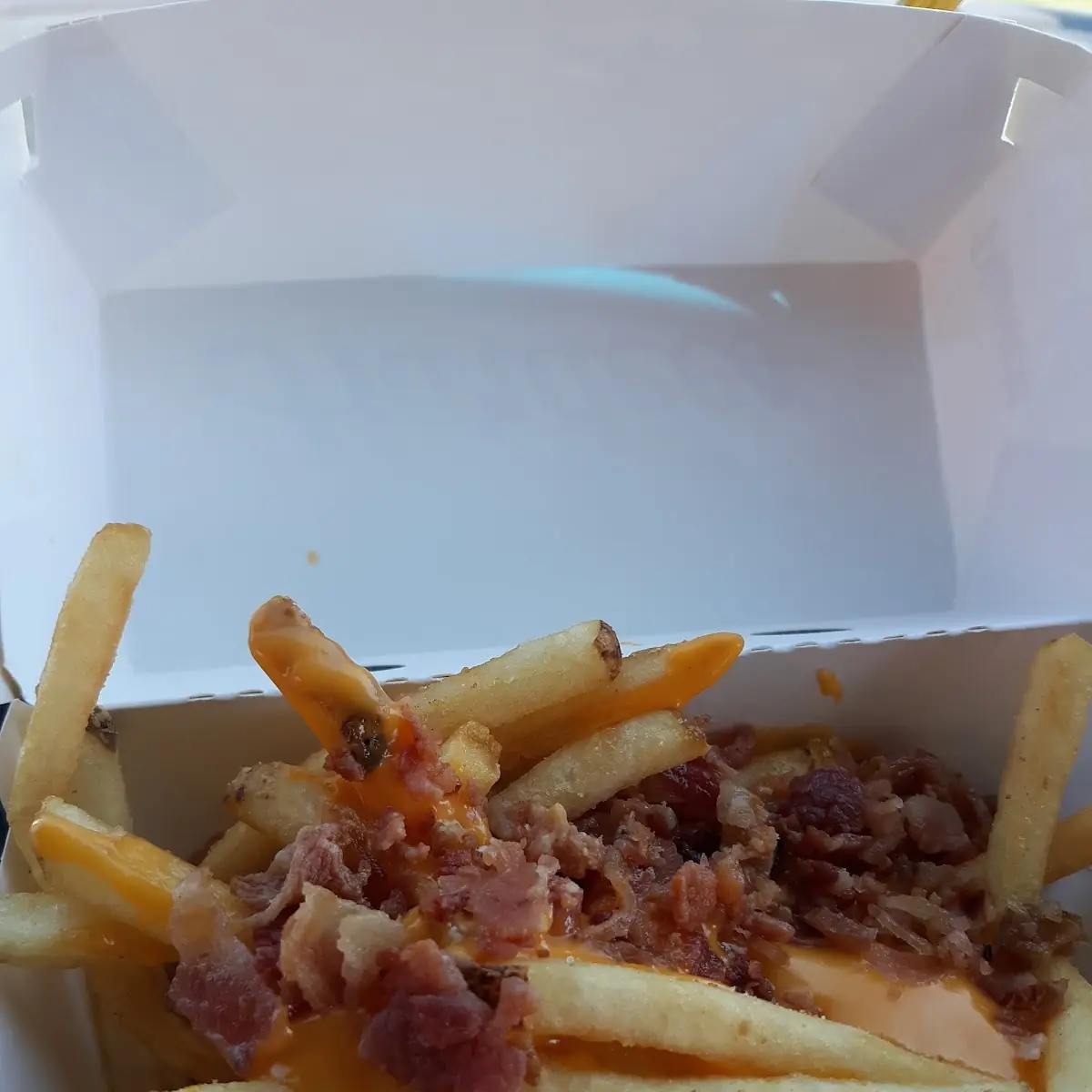 Bacon Cheese Fries