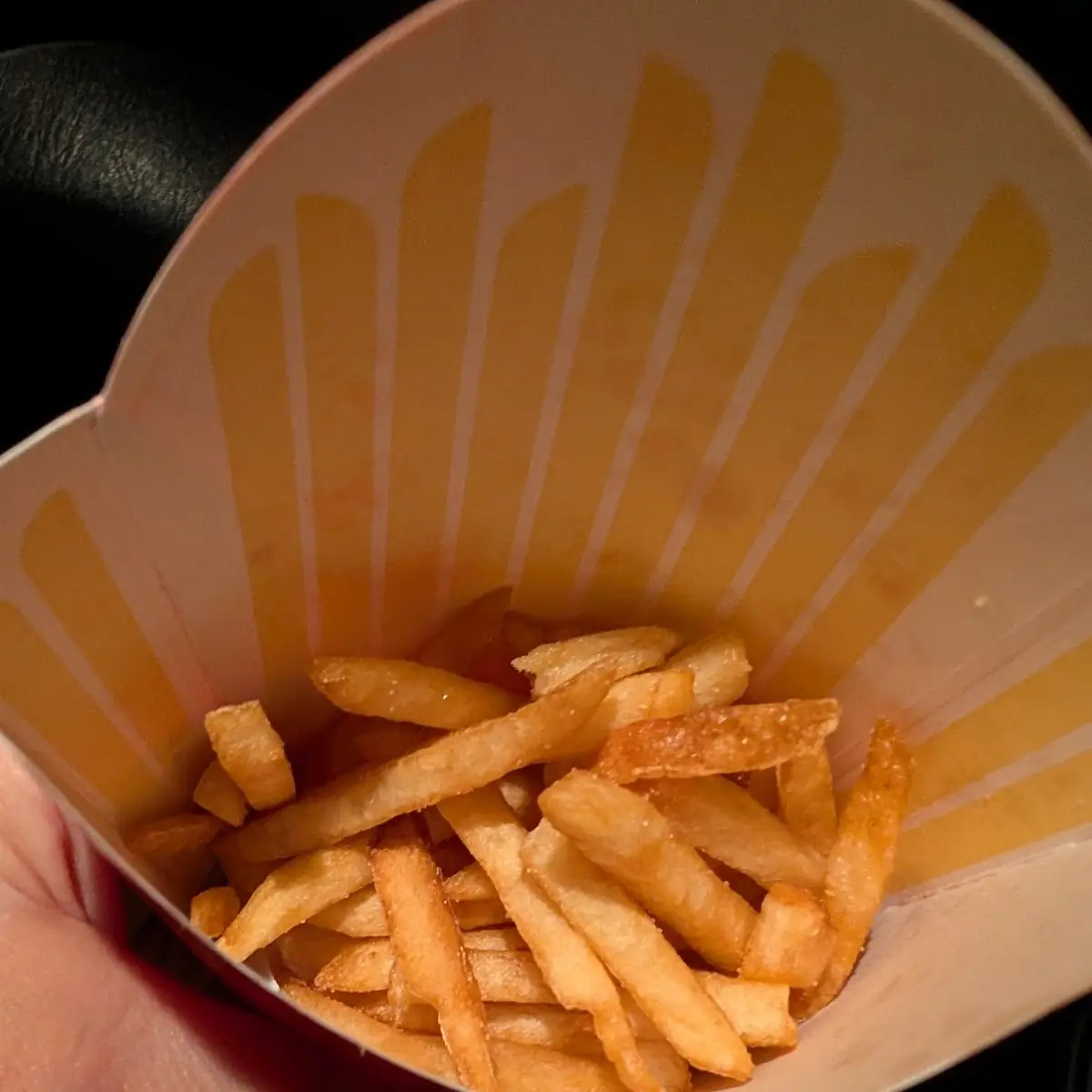 World Famous Fries