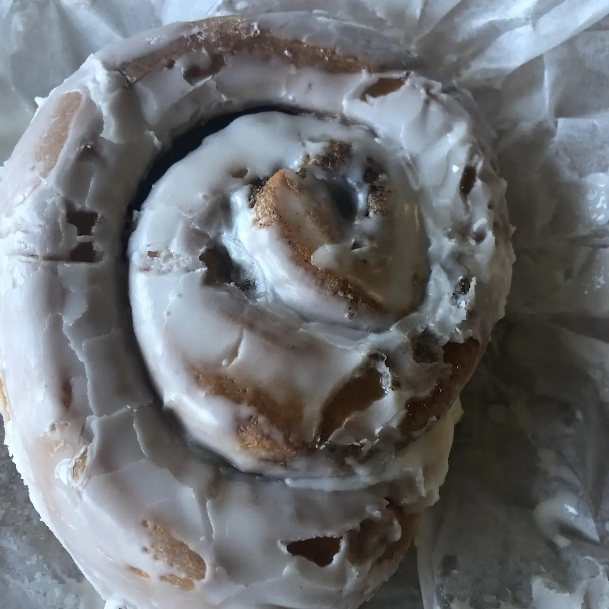 Cinnamon Roll