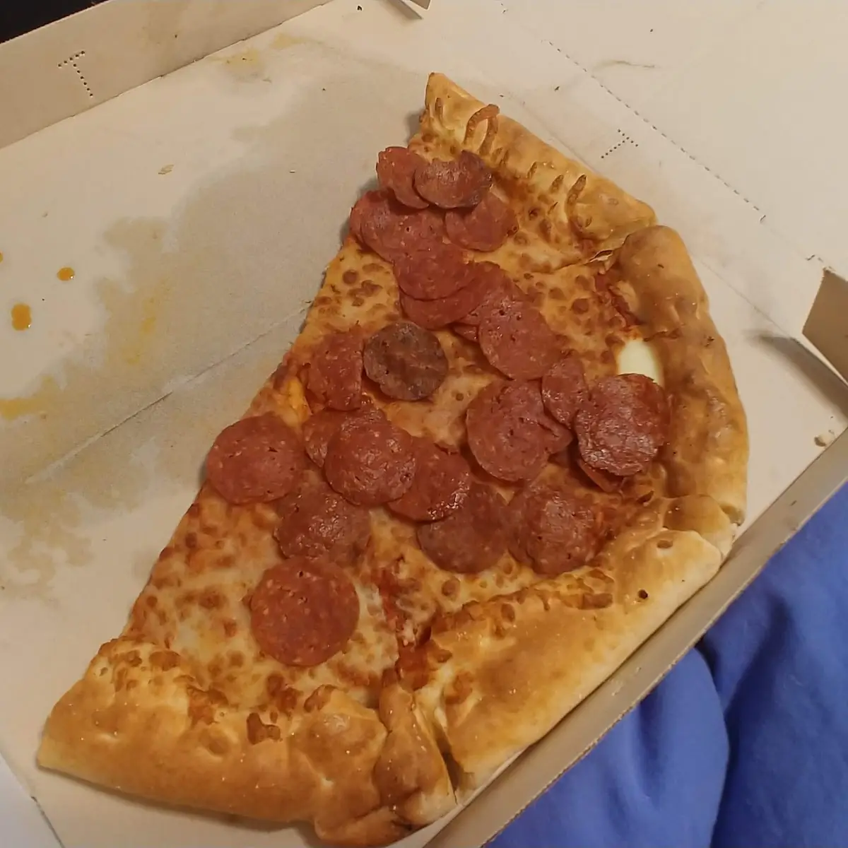 Old Cheese Stuffed Crust Pizza with Decomposing Pepperonis