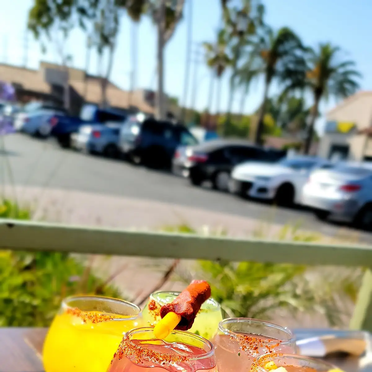 Margarita Flight