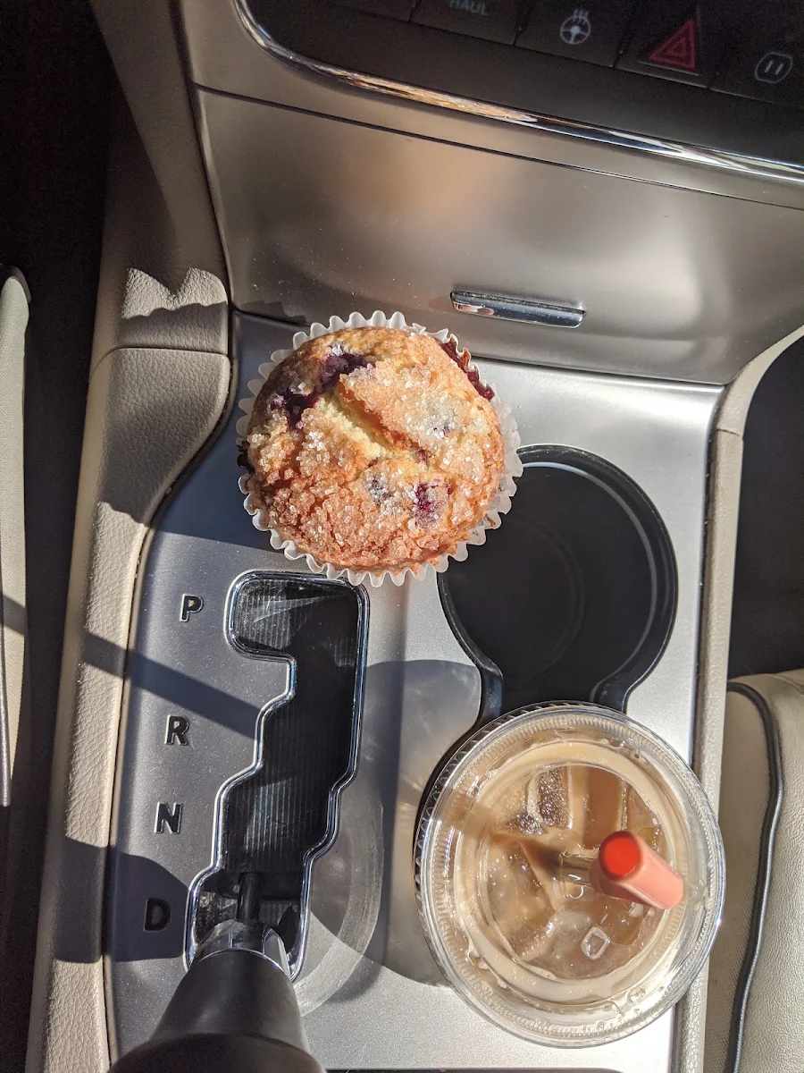 Blueberry Muffin