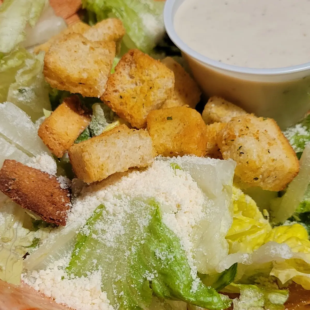 House or Caesar Salad