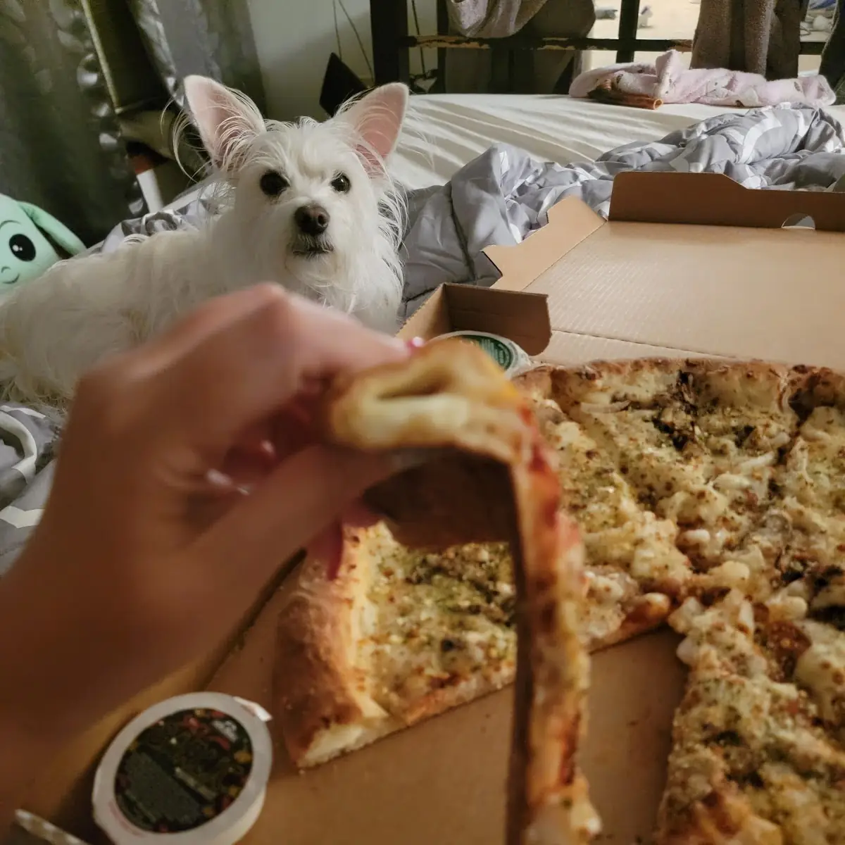 Stuffed Crust Pizza