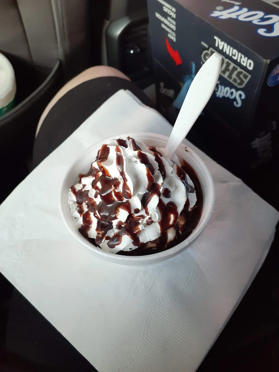 Chocolate Ice Cream Sundae