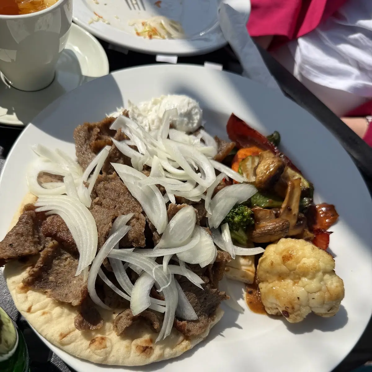 Gyro Plate