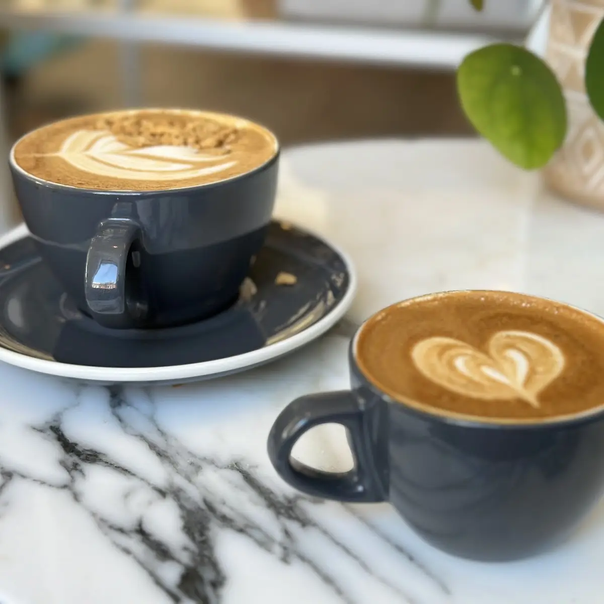 Cappuccino