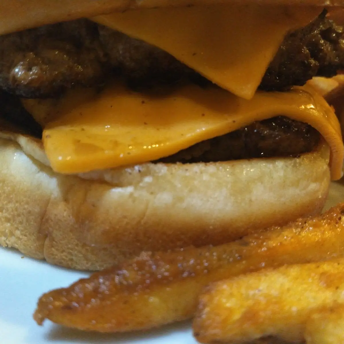 Double Cheeseburger with Fries