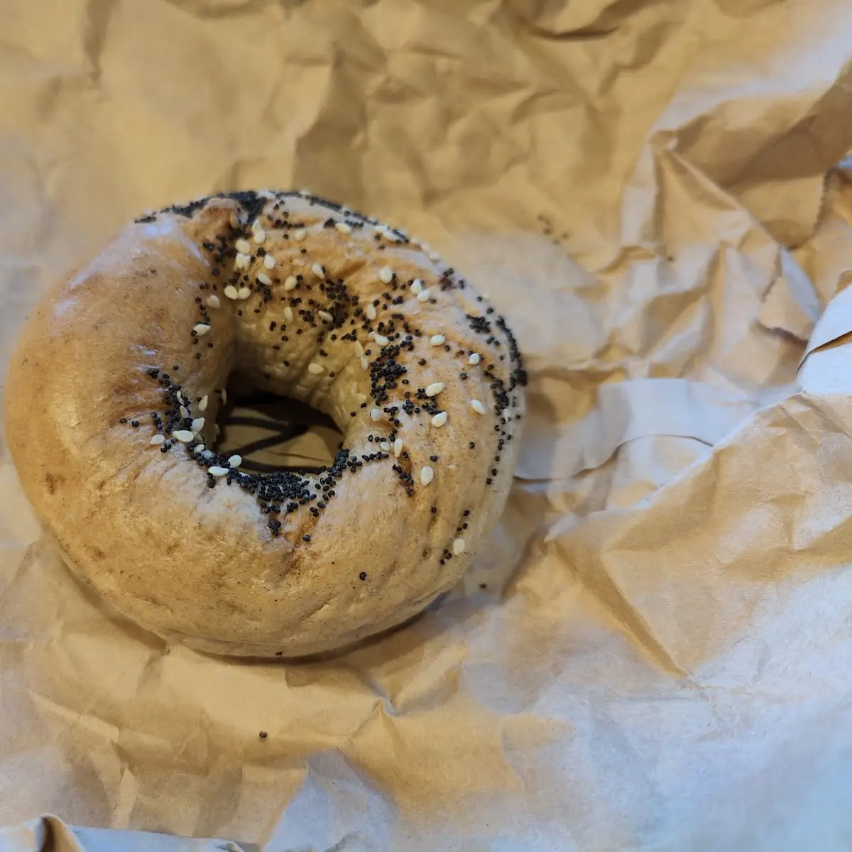 Bagel