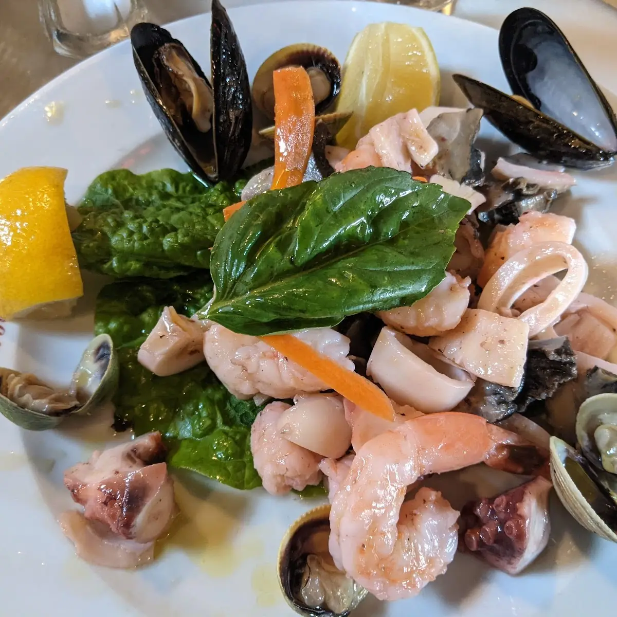 Seafood Salad